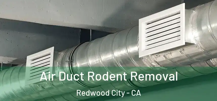 Air Duct Rodent Removal Redwood City - CA