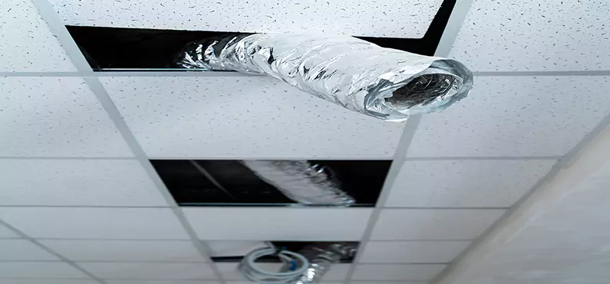 Our Air Duct Pet Hair Removal Services in Redwood City, CA