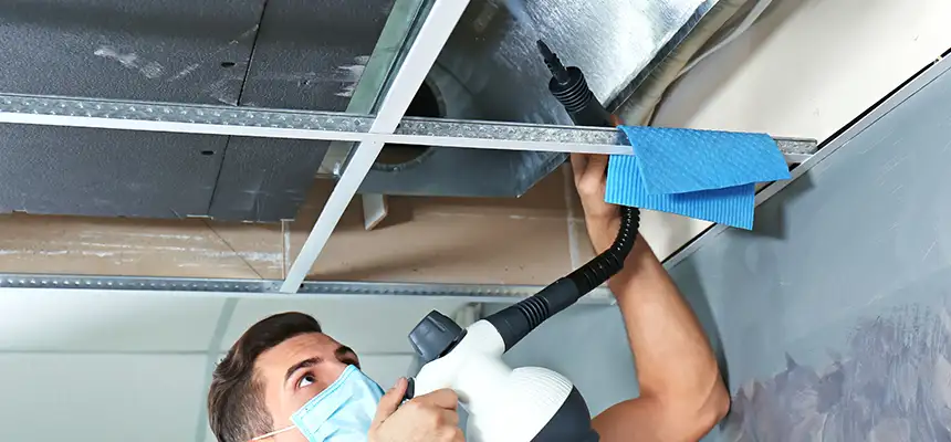 Our Air Duct Rodent Removal Services in Redwood City, CA