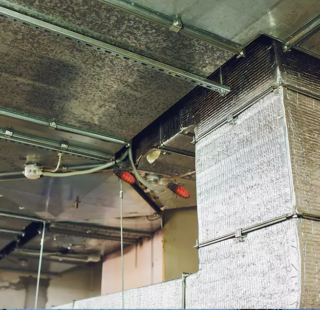 Why Homeowners & Businesses Trust Us in Redwood City, CA?