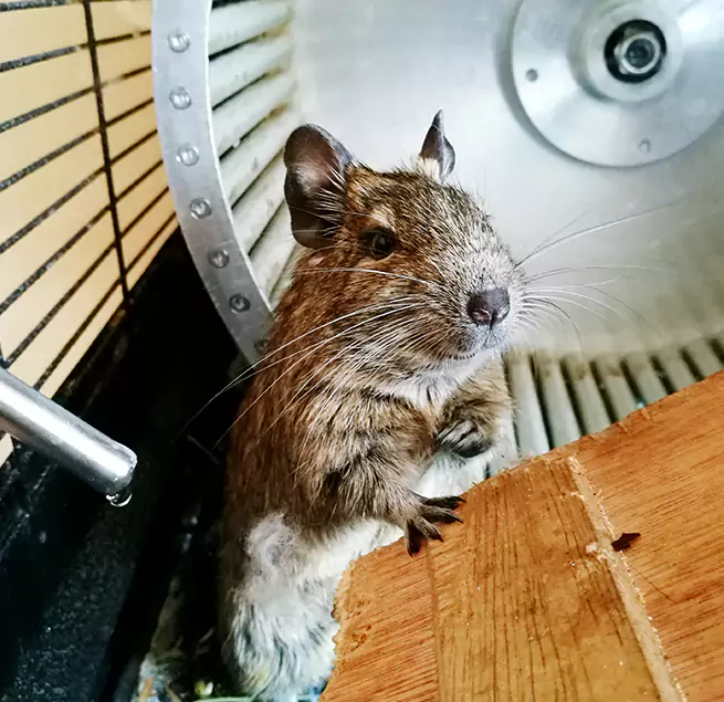 Why Homeowners & Businesses Trust Us Redwood City, CA