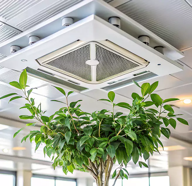 Why Homeowners & Businesses Trust Us in Redwood City, CA?