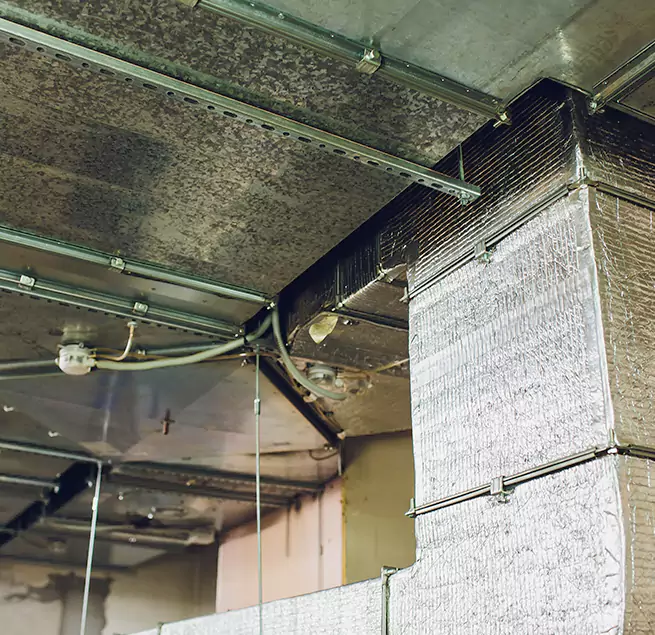 Why Homeowners & Businesses Trust Us in Redwood City, CA?