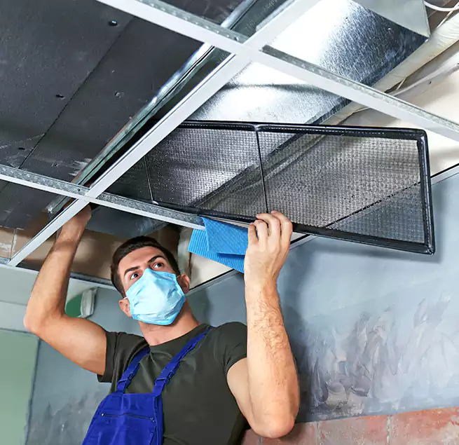 Why Homeowners Businesses Trust Us in Redwood City, CA